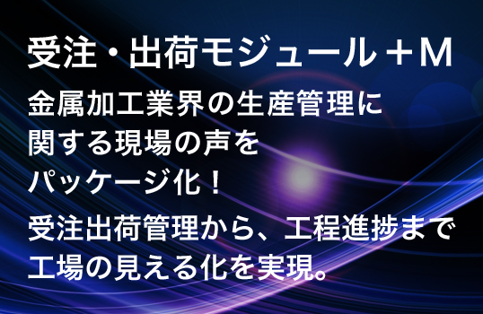 受注・出荷モジュール＋M
金属加工業界の生産管理に関する現場の声をパッケージ化！
帳票、約100種類を標準で用意しています。